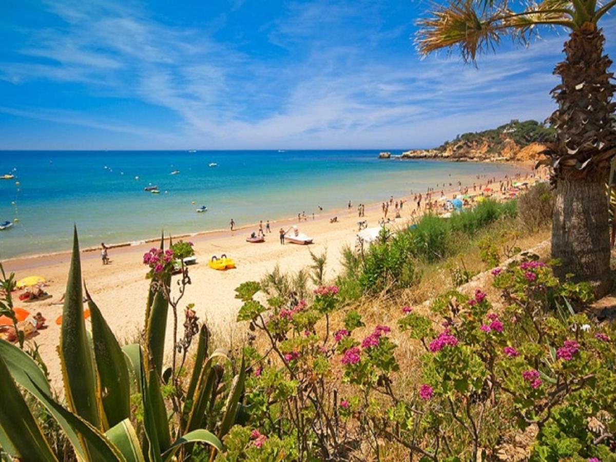 Villa Jardins da Branqueira, Albufeira Exterior foto